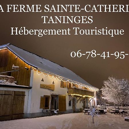 La Ferme Sainte Catherine Villa Taninges Ngoại thất bức ảnh