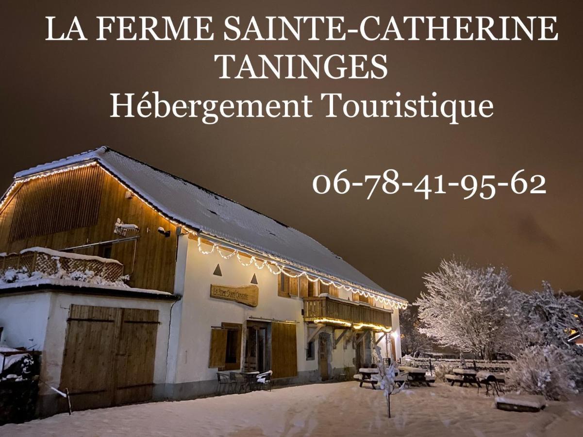 La Ferme Sainte Catherine Villa Taninges Ngoại thất bức ảnh